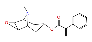 Aposcopolamine