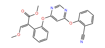 Azoxystrobin