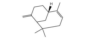 (1S,Z)-2,6,6-Trimethyl-8-methylenebicyclo[5.3.1]undec-2-ene