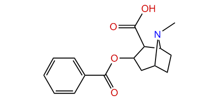 Benzoylecgonine