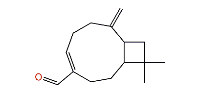 beta-Betulenal