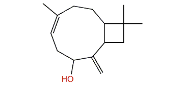 beta-Betulenol