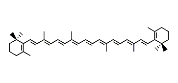 beta,beta-Carotene