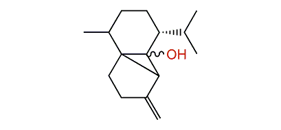 beta-Cubeb-6-ol