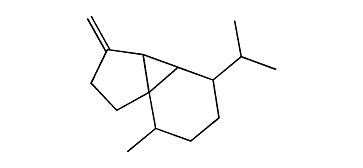 beta-Cubebene