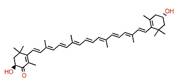 3,3'-Dihydroxy-beta,beta-caroten-4-one