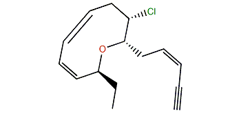 Brasilenyne