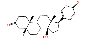 Bufalone