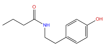 N-[2-(4-Hydroxyphenyl)ethyl]-butanamide