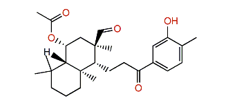 Caminatal