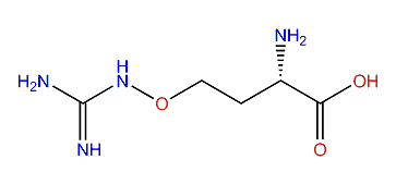 Canavanine