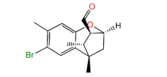 Caraibical