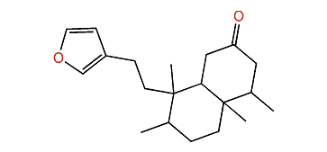 Cascarillone