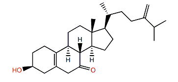 Chabrosterol