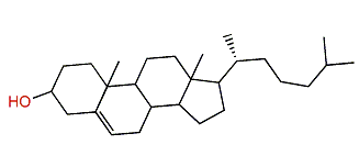 Cholest-5-en-3-ol