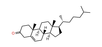 Cholest-5-en-3-one