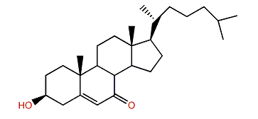 Cholest-5-en-3b-ol-6-one