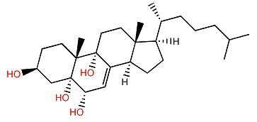 Cholest-7-en-3b,5a,6a,9a-tetrol