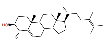 Cholesta-5,24(25)-dien-3b-ol