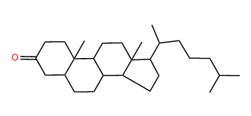 Cholestan-3-one