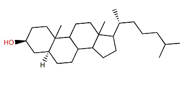 5a-Cholestane-3b-ol