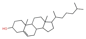 Cholest-5-en-3beta-ol