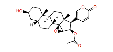 Cinobufagin