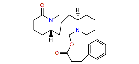 cis-13-Cinnamoyloxylupanine