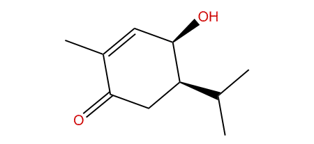 cis-5-Hydroxy-p-menth-1(6)-en-2-one