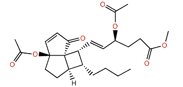 Clavucyclin