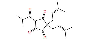 Cohulupone