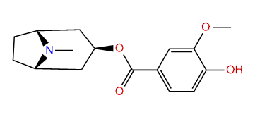 Concneorine