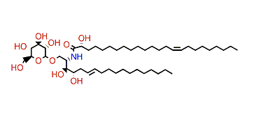 Coralipid