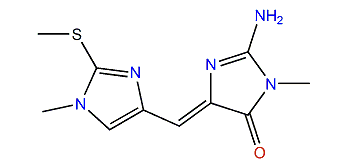 Corallistine