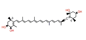 (3S,3'S,4'R,5'R,6'R)-6',7'-Didehydro-3,4,3',5-tetrol