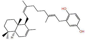 Coscinoquinol