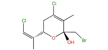 Costatone