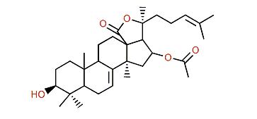 16b-Acetoxyholosta-7,24-dien-3b-ol