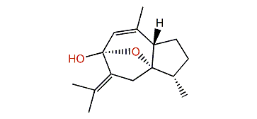 Curcumenol