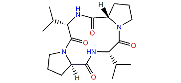 Cyclo-(L-Pro-L-Val-L-Pro-L-Val)