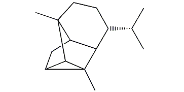 Cyclosinularane