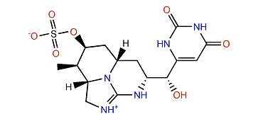 Cylindrospermopsin