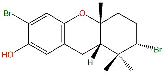 Cymobarbatol