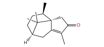 Cyperorotundene