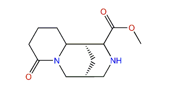 Cytisine-12-carboxy-methylester