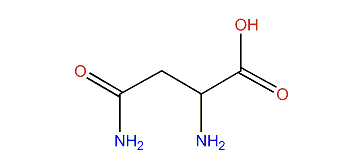 (R)-2,4-Diamino-4-oxobutanoic acid