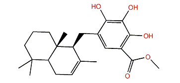 Dactylospontriol