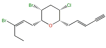 Dactylyne