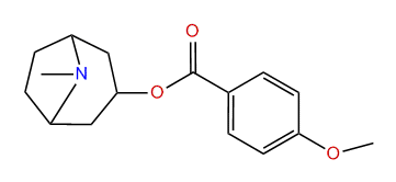 Datumetine