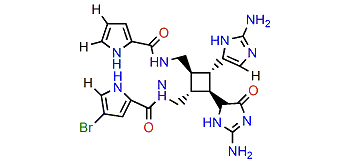 Debromooxysceptrine